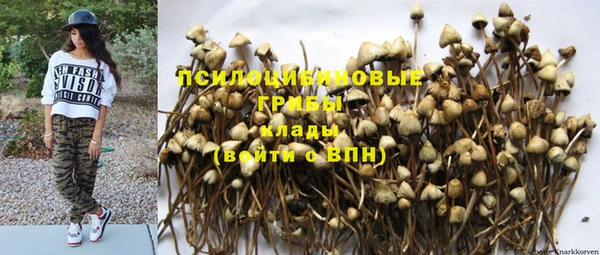 дмт Алексин