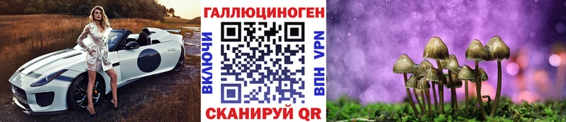 Псилоцибиновые грибы Psilocybine cubensis  купить   Александровское 